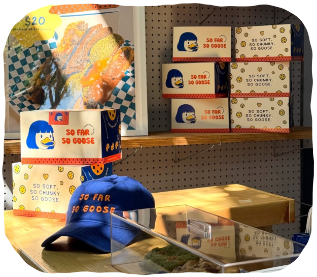 So Far So Goose store display