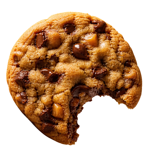 So Far So Goose cookies